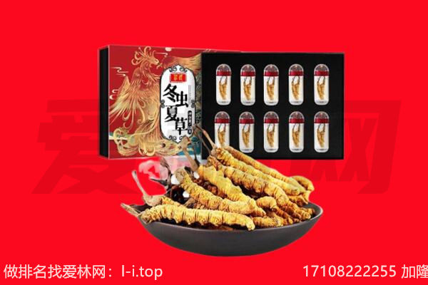 滁州市琅琊回收虫草.jpg